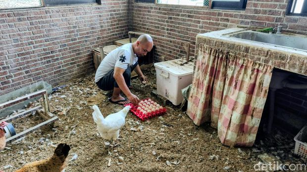 'Kamar Ayam' Agus di Bandung 'Kamar Ayam' Agus di Bandung