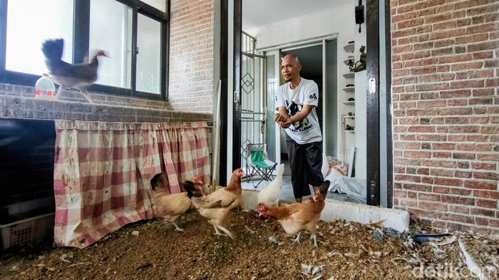 Kamar Ayam Agus di Bandung