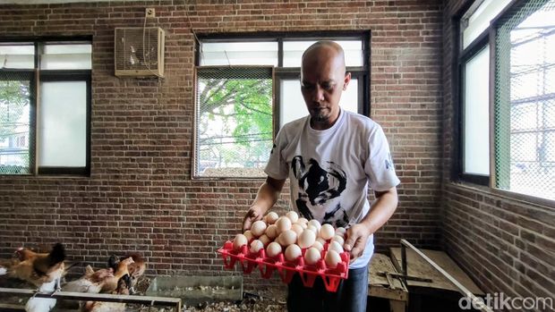 'Kamar Ayam' Agus di Bandung 'Kamar Ayam' Agus di Bandung