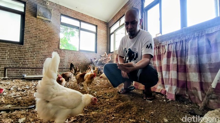 Kamar Ayam Agus di Bandung
