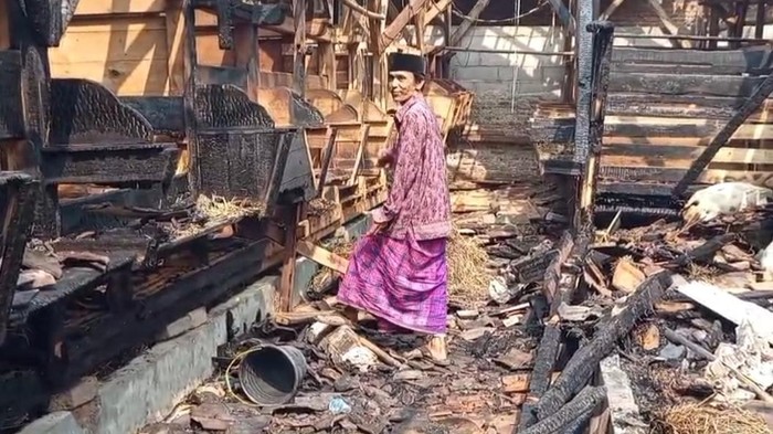 Kandang kambing di Pandeglang hangus terbakar.
