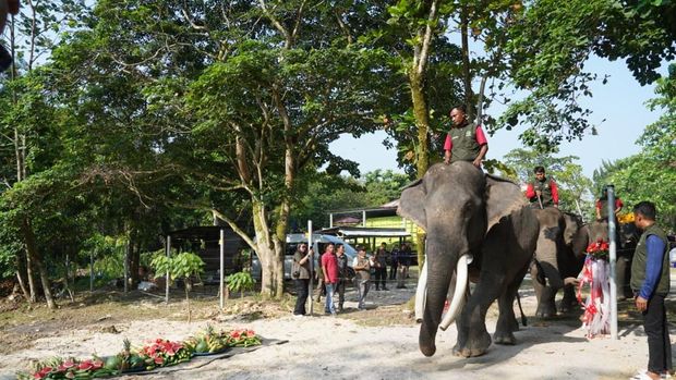 Kapolda Riau Irjen Pol Herry Heryawan meresmikan Breeding Area di PLG Minas menyambut Hari Gajah Sedunia Kapolda Riau Irjen Pol Herry Heryawan meresmikan Breeding Area di PLG Minas menyambut Hari Gajah Sedunia, Rabu (12/8/2026).