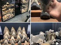 Bikin Melongo! Koleksi Orang-orang Ini Aneh tapi Bikin Kagum