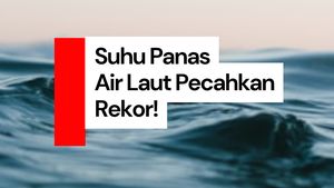 Video: Pecah Rekor! Suhu Air Laut Dunia Makin Panas