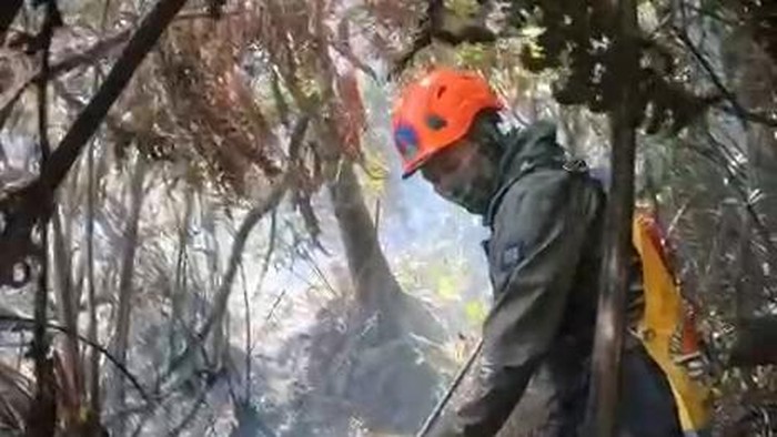 Relawan padamkan api di medan terjal di kawah Wadon Gunung Gede