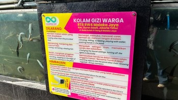 Oh iya, hasil dari budidaya ikan tak cuma dibagikan kepada ibu hamil, lansia dan balita, melainkan dijual juga. Begitu pula telur ayam dari ternak mereka yang dihargai Rp 3.000 per butirnya. Pemasukan ini kemudian dicatat sebagai kas RT dan digunakan untuk membangun RT. Selain itu, ada juga UMKM yang didirikan, seperti UMKM hasil olahan ikan. Foto: Aisyah Kamaliah/detikINET