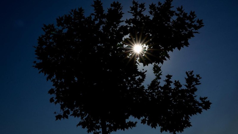 French couple Lucien Montesinos, 33, and Pamela Boisde, 39, visit a campsite to see the total solar eclipse, in Arija, Spain, August 12, 2026. REUTERS/Borja Suarez