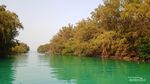 Beragam Aktivitas Seru di Pulau Pramuka yang Bikin Betah