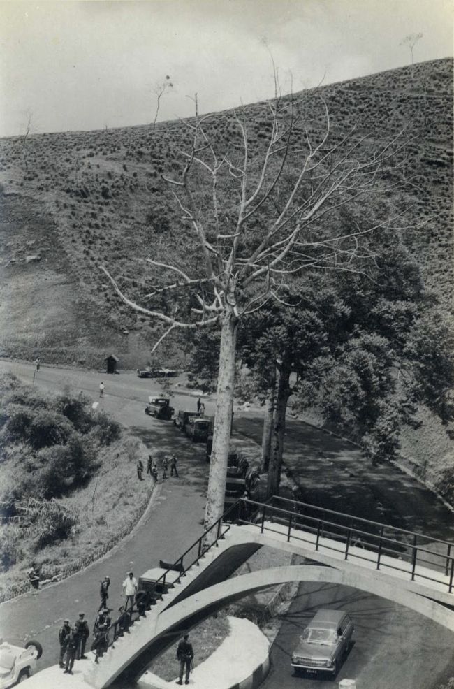 Vila Riung Gunung
