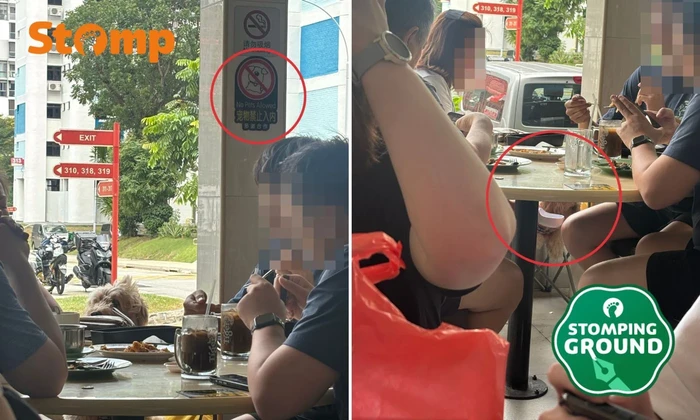 Viral! Anjing Dibawa ke Kafe, Duduk di Bawah Tanda Dilarang Bawa Hewan
