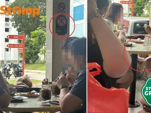 Viral! Anjing Dibawa ke Kafe, Duduk di Bawah Tanda Dilarang Bawa Hewan