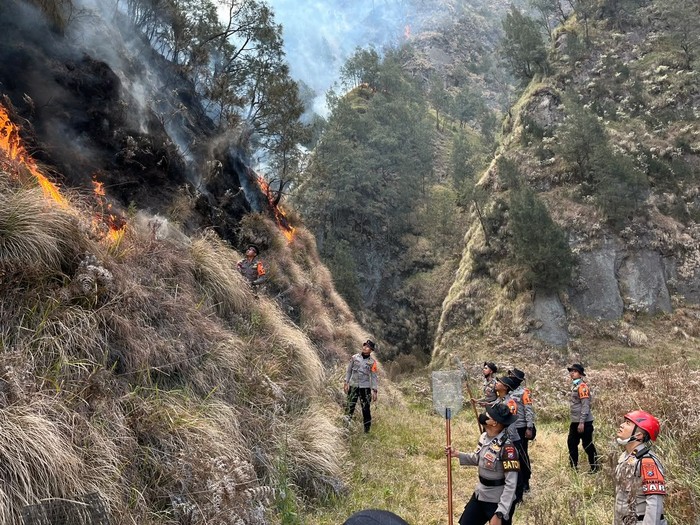 Brimob diterjunkan padamkan kebakaran Bromo