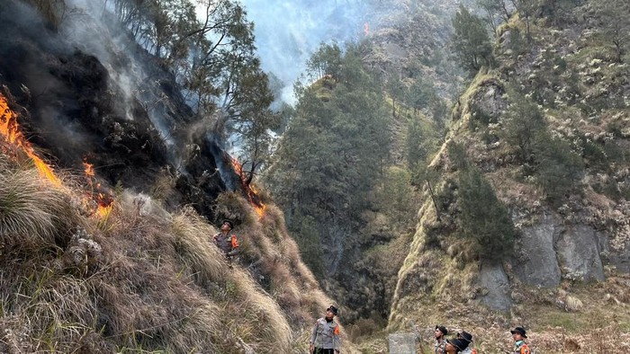 Brimob diterjunkan padamkan kebakaran Bromo
