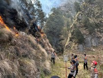 Kebakaran di Bromo Padam tapi Masih Terlihat 2 Titik Kepulan Asap