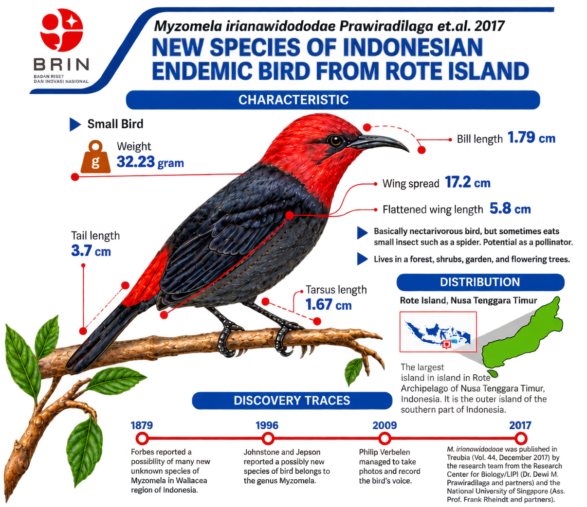 Burung 2. (Dok. Penulis)