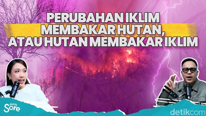 Perubahan Iklim Membakar Hutan, atau Hutan Merubah Iklim?