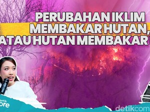 Peningkatan Karhutla, Dampak Iklim atau Ulah Manusia?