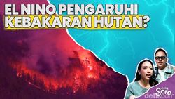 Video: Peneliti BRIN Ungkap Hubungan El Nino dam Kebakaran Hutan