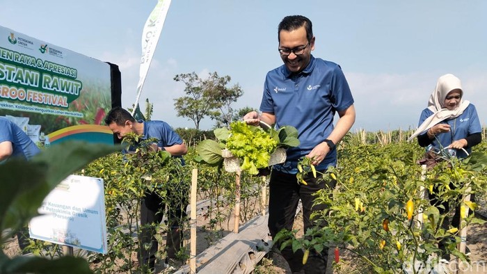 Direktur Keuangan dan Umum Petrokimia Gresik Adityo Wibowo melihat hasil produksi pertanian