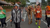Irfan Hakim Ikut Lari Bareng Hewan Peliharaan, Ada Insiden Ditendang Unta