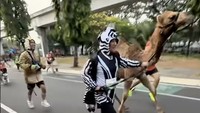 Irfan Hakim menceritakan pengalamannya lari dengan membawa unta. Pelari dalam acara tersebut memang membawa hewan peliharaan untuk lari bersama. Namun, ada kejadian tak terduga. Foto: Instagram @irfanhakim75
