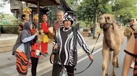 Gue habis show di Kendal pakai kereta, di Gambir jam 5, jam 6 ada acara lari, Run for Animals, yang lain bawa anjing kan gue gak pelihara anjing. Ya udah gue bawa unta, tuturnya. Foto: Instagram @irfanhakim75