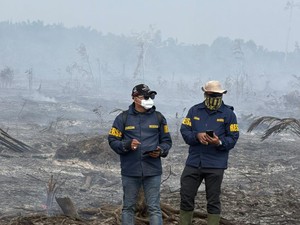 28 Tersangka Karhutla di Riau Sepanjang 2026, Pelalawan dan Inhil Terbanyak