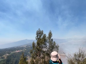 Kebakaran Bromo Merambat ke Bukit Kedasih, Wisata Sky Bridge Ditutup