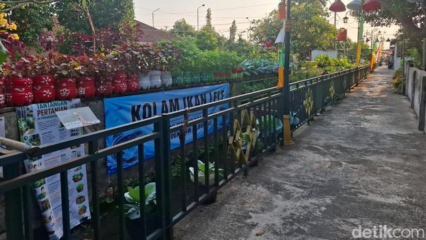 Salah satu gang yang dimanfaatkan warga menjadi kebun sayur organik di Baciro, Gondokusuman, Kota Jogja, Kamis (13/8/2026).