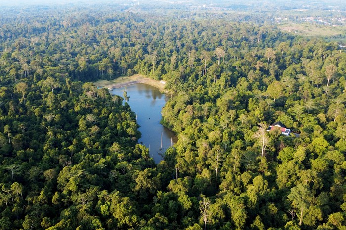 Foto udara kawasan hutan lindung Sungai Wain di Balikpapan, Kalimantan Timur, Rabu (12/8/2026). Kementerian Kehutanan memetakan sebanyak 6,28 juta hektare hutan sosial untuk perdagangan karbon yang melibatkan pembeli dari luar negeri sekaligus sebagai upaya untuk mendukung target tingkatan penyerapan gas rumah kaca melalui sektor kehutanan dan lahan (FOLU Net Sink 2030). ANTARA FOTO/Angga Palguna