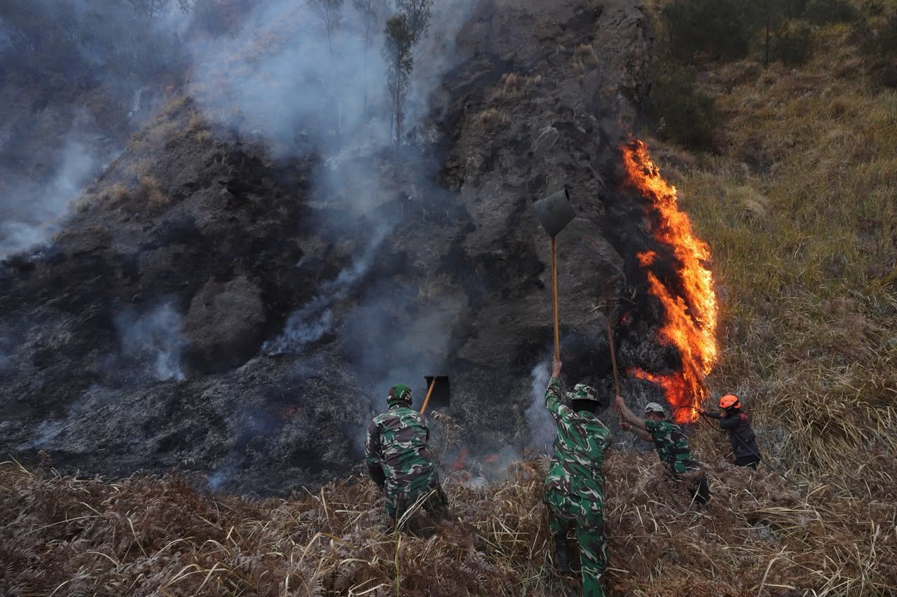 Penanganan karhutla TNBTS diperkuat dengan 540 personel dan pemadaman darat-udara. Total area terdampak mencapai sekitar 921 hektare. (Dok. BNPB)