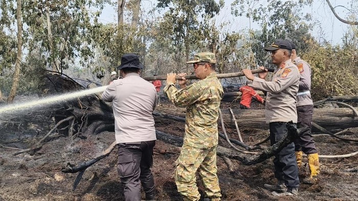 Petugas gabungan memadamkan karhutla di lahan seluas 1,5 hektare di Kabupaten Pelalawan, Riau. Kapolres Pelalawan AKBP John Lous Letedara dan Wabup Pelalawan Husni Thamrin ikut turun langsung memadamkan karhutla, Kamis (13/8/2026).