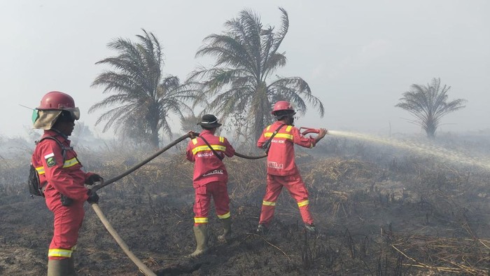 Petugas Manggala Agni memadamkan api yang membakar lahan gambut di Londerang, Muaro Jambi