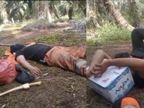 Berhari-hari Jinakkan Api, Petugas Karhutla Kobar Tak Pulang-Tidur di Tanah
