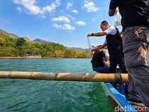 Gagal Diselundupkan,60 Ribu Benur Dilepasliarkan di Laut Sukabumi