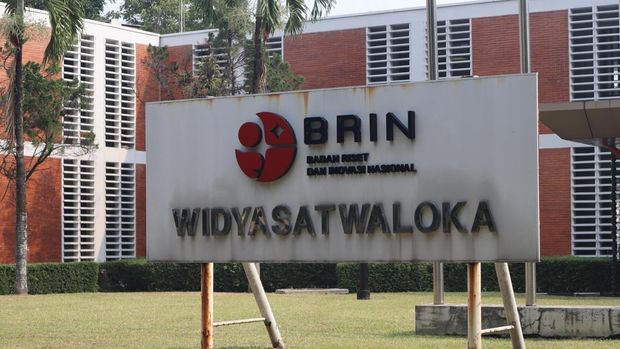 Widyasatwaloka. (Dok. Penulis) Widyasatwaloka. (Dok. Penulis)
