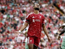 Manchester City Juga Ikut Buru Cody Gakpo
