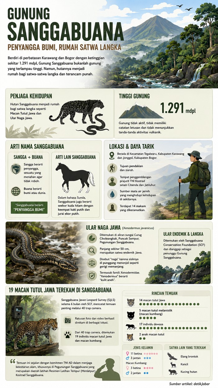 Infografis Gunung Sanggabuana.