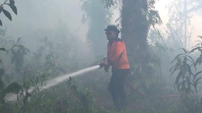 Karhutla di Kobar. (BPBD Kobar)