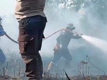 BPBD Menanti Anggaran BBM di Tengah Upaya Pemadaman Karhutla Kobar