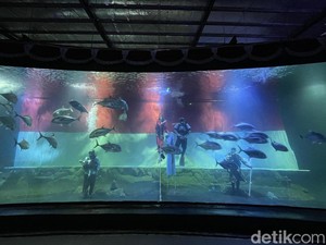 Kibaran Merah Putih Raksasa di Bawah Air Pangandaran
