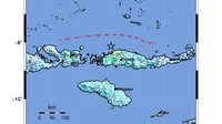 BMKG Mutakhirkan Gempa NTT Jadi M 7, Guncangan Terasa di Makassar hingga Bali