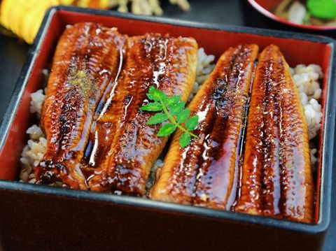 Wajib Coba! 5 Ikan Jepang Ini Hanya Ada Saat Musim Panas