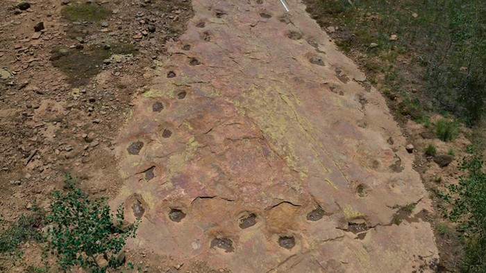 Jejak dinosaurus