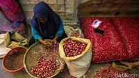Upah yang diterima sebesar Rp1.500 per kilogram untuk bawang yang dikupas, sedangkan bawang yang dibersihkan hingga tuntas dihargai Rp3.500 per kilogram.