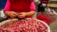 Risiko terluka menjadi bagian dari pekerjaan tersebut karena jari tangan tidak jarang terkena pisau saat mengupas bawang, sehingga para buruh menggunakan pelindung jari untuk mengurangi risiko cedera.