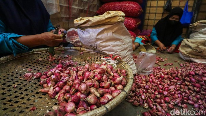 Buruh perempuan mengupas kulit bawang merah di Pasar Induk Kramat Jati, Jakarta, Sabtu (15/8/2026). Sejak pukul 08.00 WIB, para buruh sudah mulai bekerja mengupas dan memotong bawang merah sesuai pesanan pelanggan.