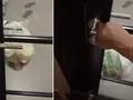 Pengantar Gantung Pesanan di Pagar, Makanan Malah Jatuh Berantakan!