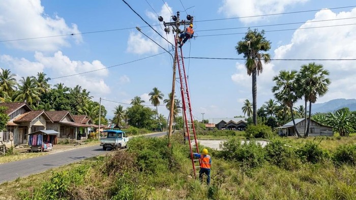 PLN