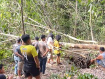 Identitas Tengkorak-Tulang Manusia di Semak Belukar Muba Belum Terungkap
